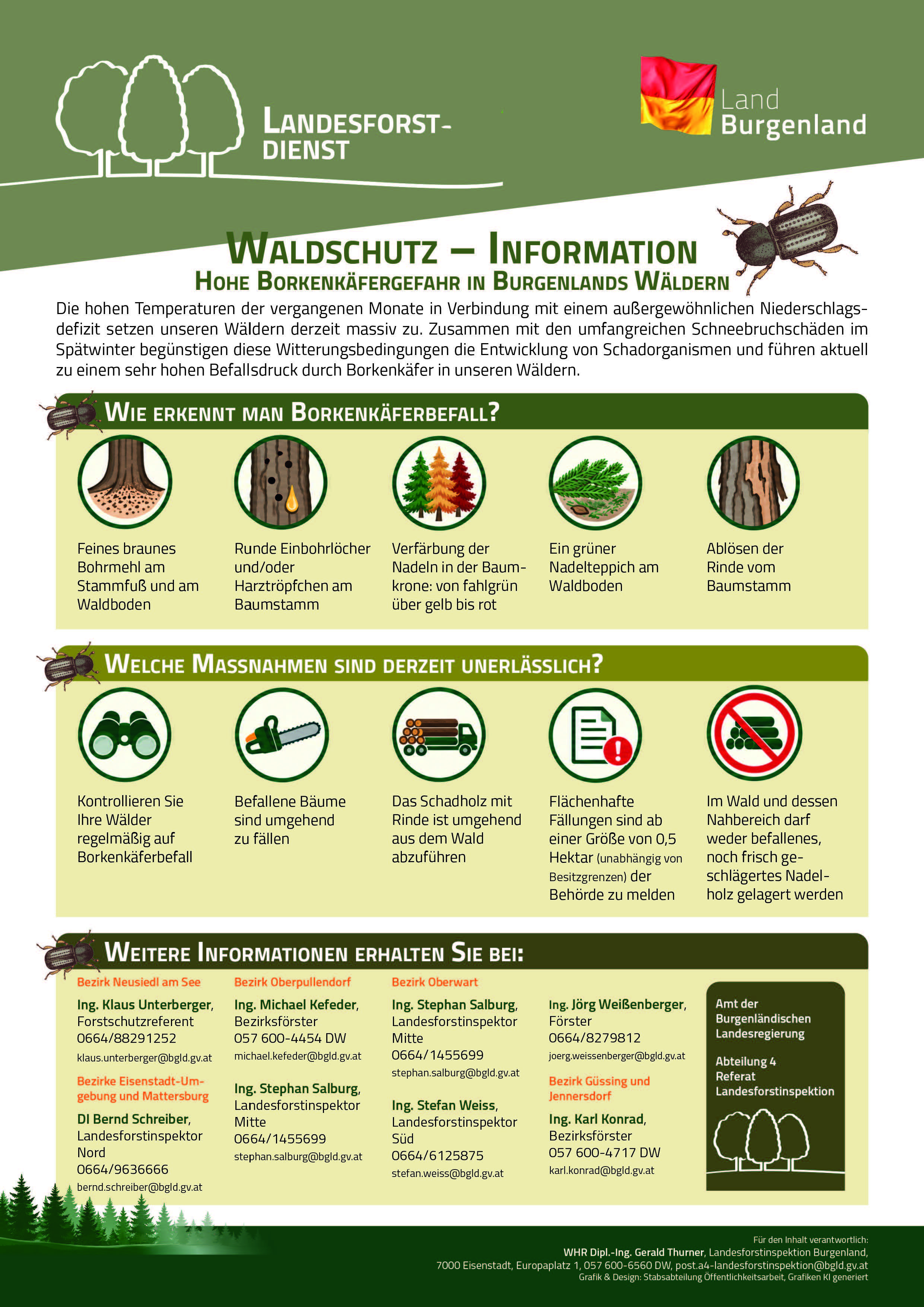 Infoblatt Borkenkäfer